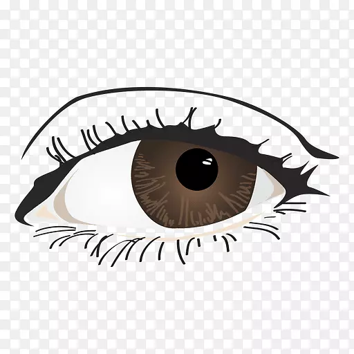 �۾���ɫ������.�۾�-������