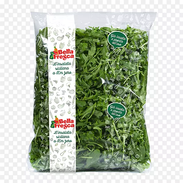 Ҷ�˲ݱ�ֲ��-��ͨ-������