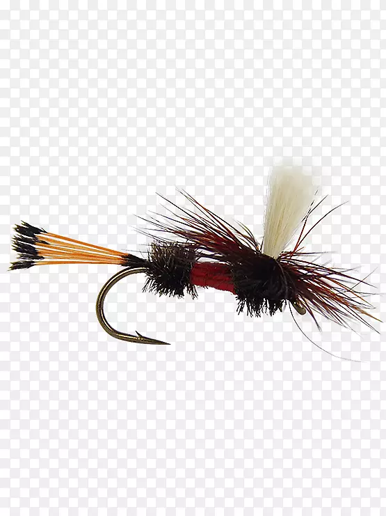 �����˹�Ӭ-������