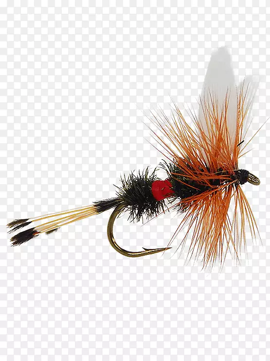 �����˹�Ӭ-������