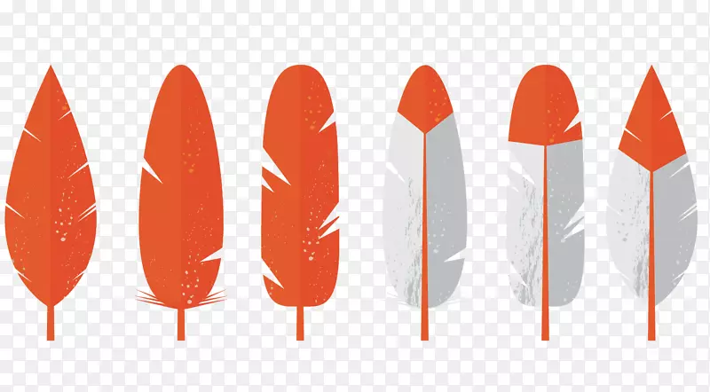 ��ë����-��ɫ��ë-������