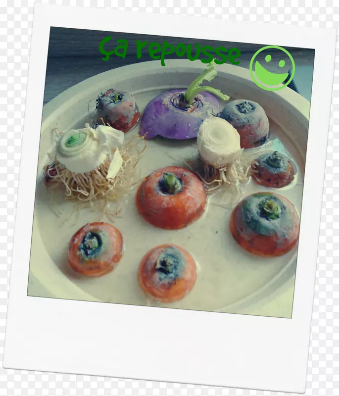 С�ĵ���װ�����͵���-������