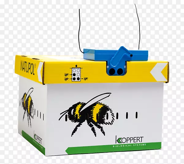 ����-����-������