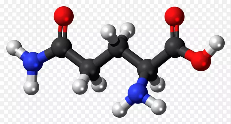 �Ȱ�������ʳ�����������Ȱ��ὡ�������-������