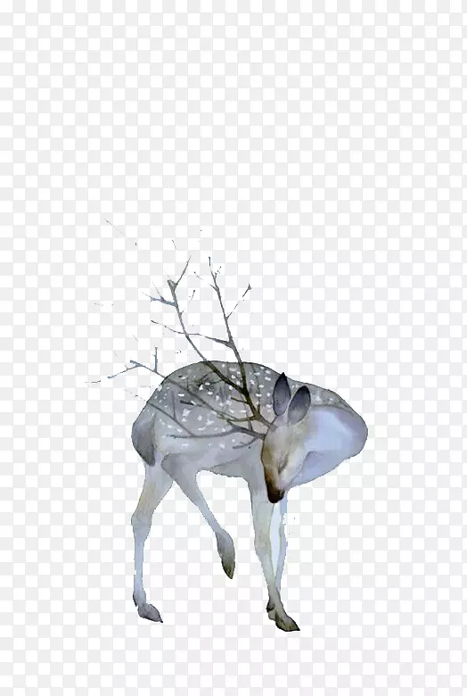 ¹ˮ�ʻ��滭����ˮ�ʻ�¹���ʲ���-������