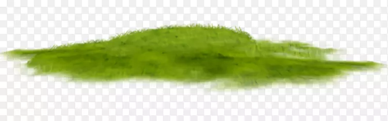 Ҷ�ݿ�-Ҷ-������