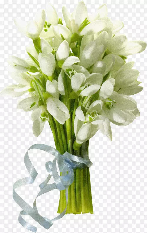 �����ֽ����-����-������