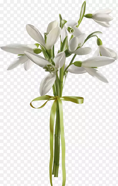 ѩ�仨����л�����-��-������