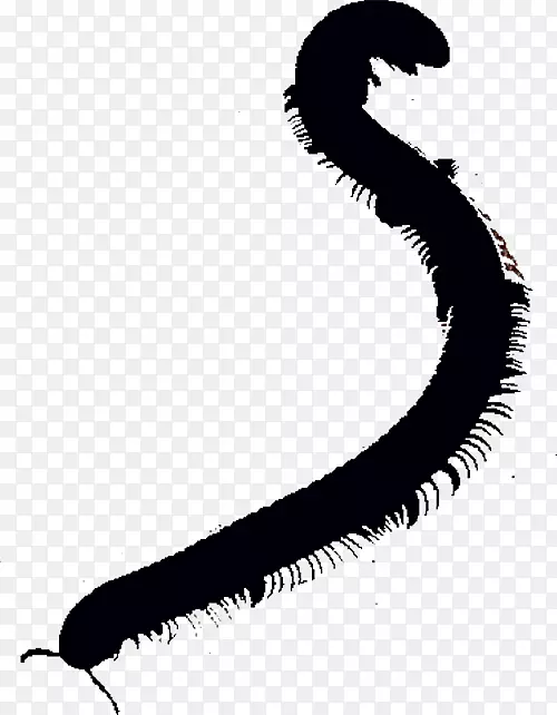 �ϸ��߰�ɫ��������-������