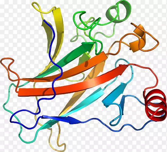 ����ƽ����Ƶ��������-������