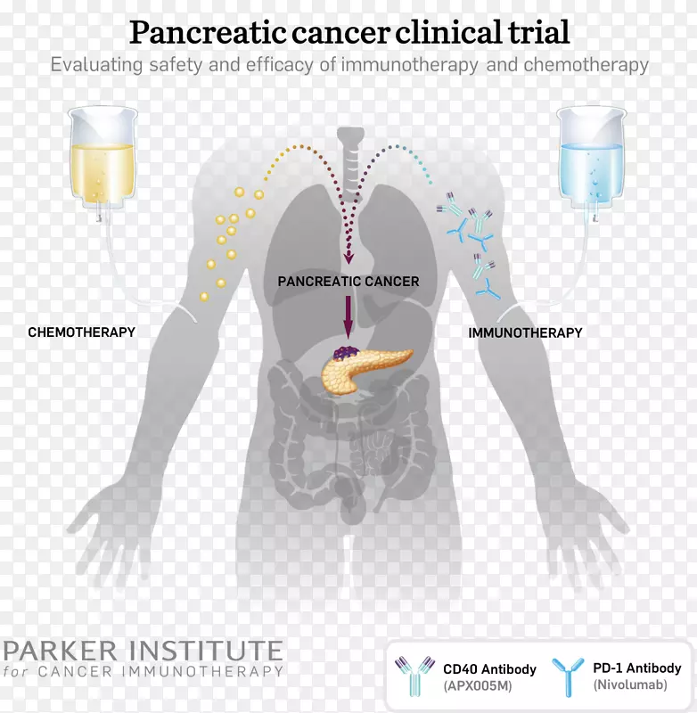 ���ٰ��������ư�֢�о���-������