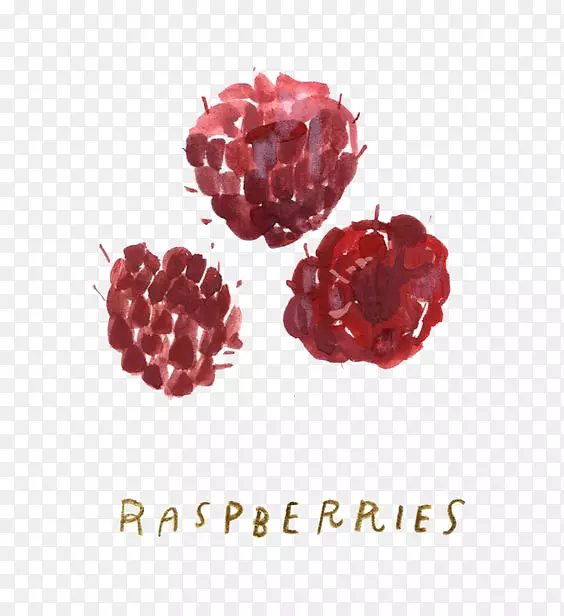 ��ݮ��ͨ��ͼ-Ϳѻ-������