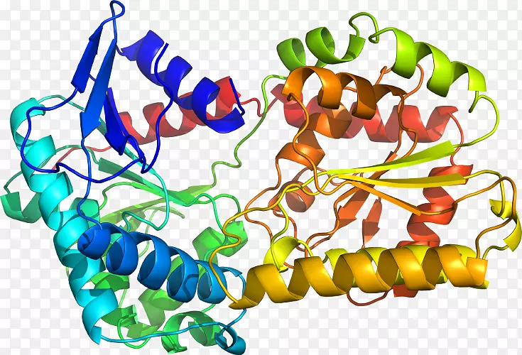 �����鱦�л��������.�鱦-������