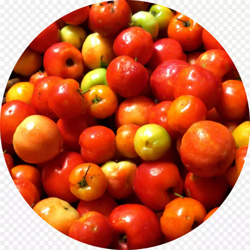 �����ͰͶ�˹ӣ�ҽ����¸���˹-������