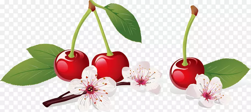 ӣ����ͼ-ӣ��-������