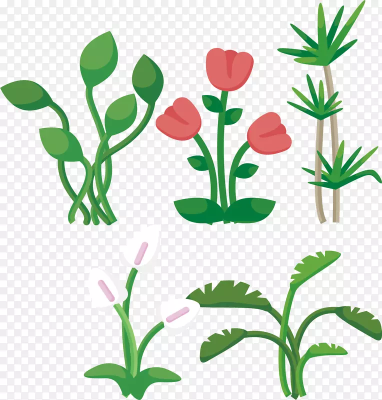 Ҷֲ����-��ɫ������-������