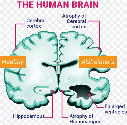 �����ĺ�Ĭ������������-������