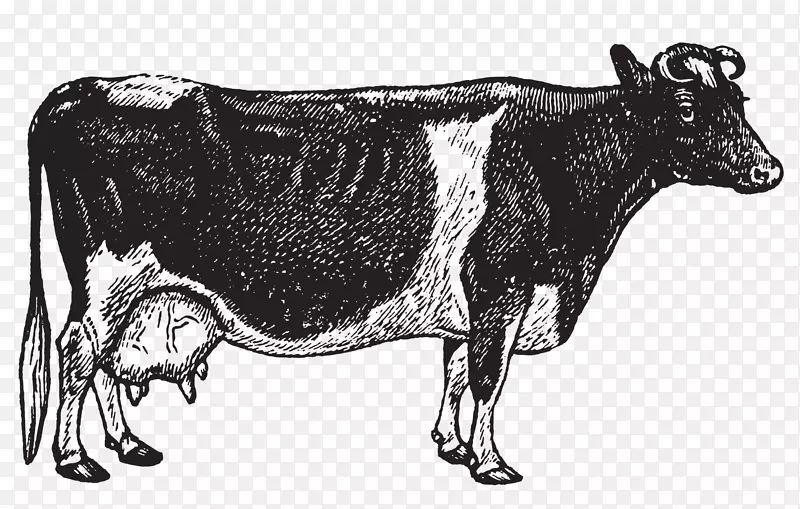 ����ɫ����������������ţ��ţ�ţ��տ�-������