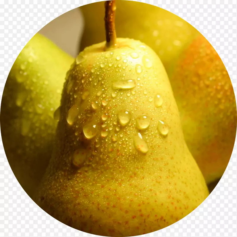 ���ֹ�ʳƷ-��-������