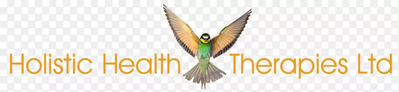 �̱������ֽƷ�Ƶ�������-����-������