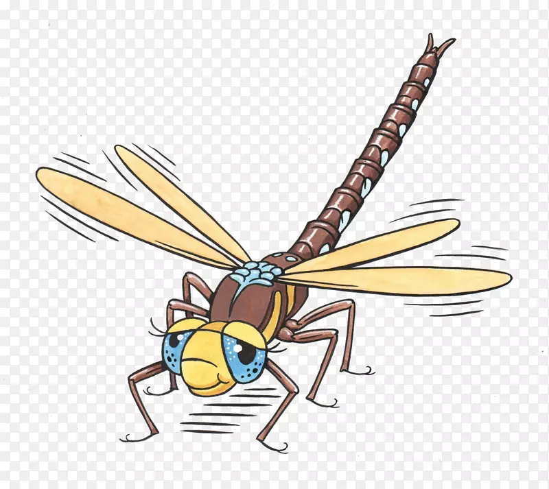 ����һֻ���ѣ����棬�Ʒ䣬������-����-������