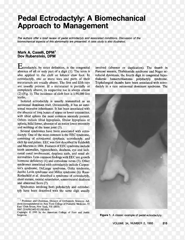 ��ָ�ǰ�ɫ�����-������