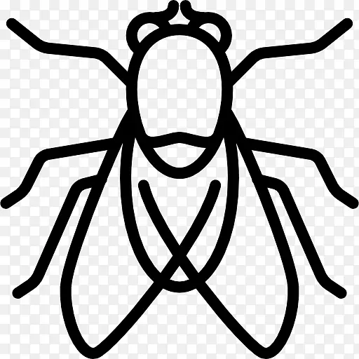 ������ѧMasasa��̲��YouTube-����-������