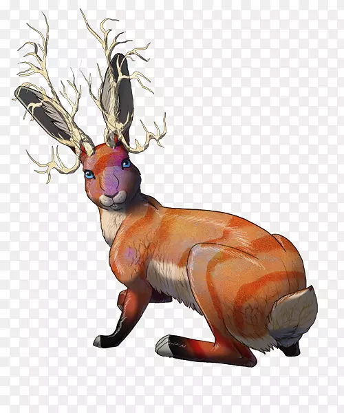 ѱ¹¹�Ƕ���Ұ������ѱ¹-������