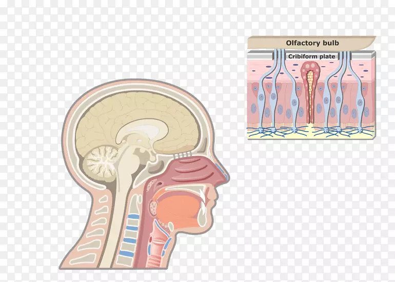 ���������ǵ���ƻ���ʺ�����ϵͳ-����-������