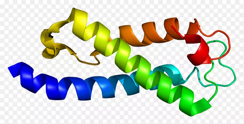 SETD 2͸��ϸ�������ְ������鵰�׼׻�ת��ø-������