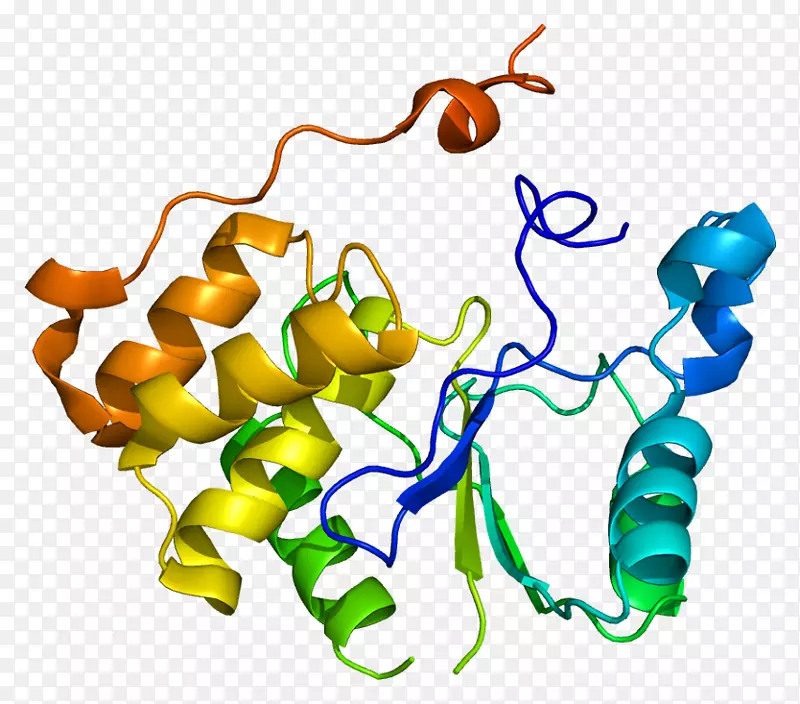 ���������л����߼�������-������