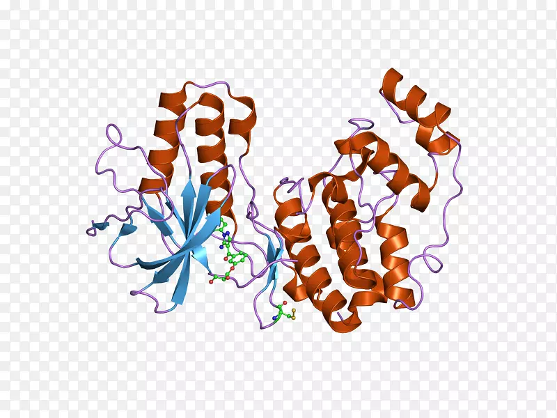 �����ֽ���Լ���������-������