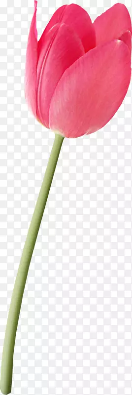 �����㻨�����ֻ�������-������