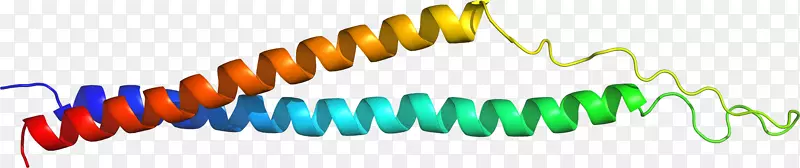 �ߵ������-��-������