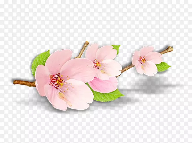 �һ�����ֲ��-��-������