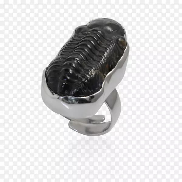 ����ָ�鱦��ʯ�����-������