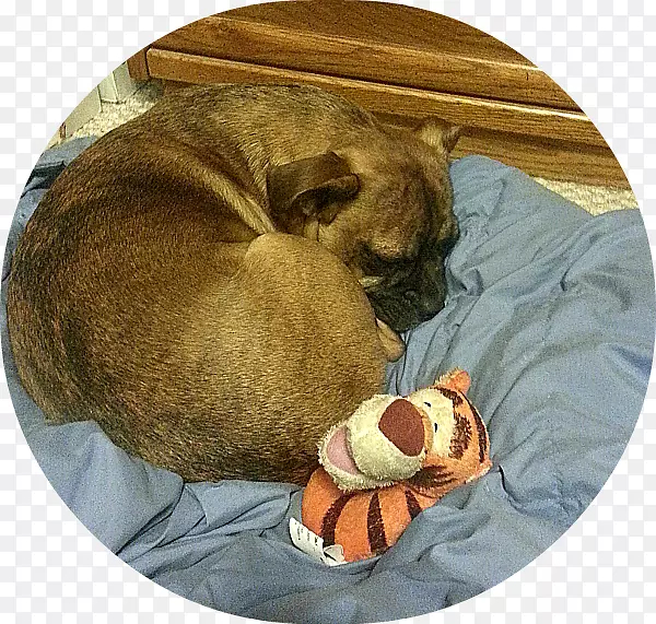 ������è����-С��-������