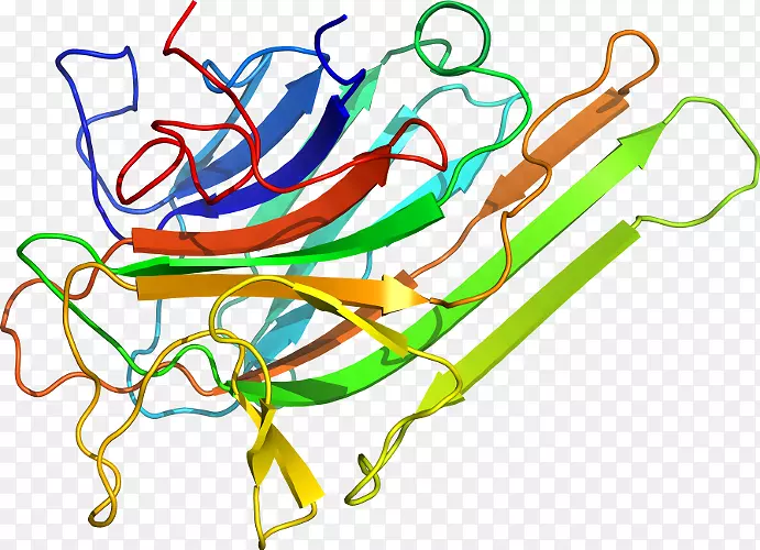 �ߵ������������-������