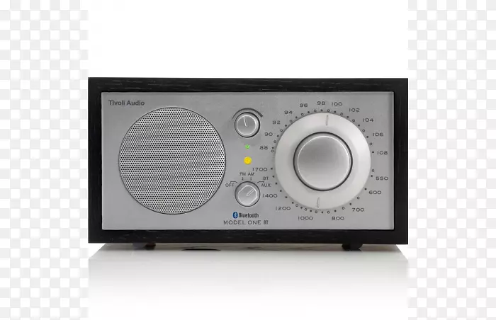 Tivoli��Ƶģ��һ̨��Ƶ�㲥����������-������