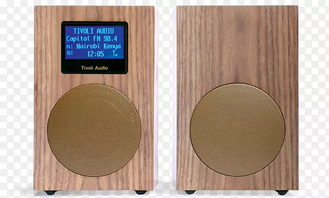 ������ʹTivoli��Ƶ�߱������ģת����-������