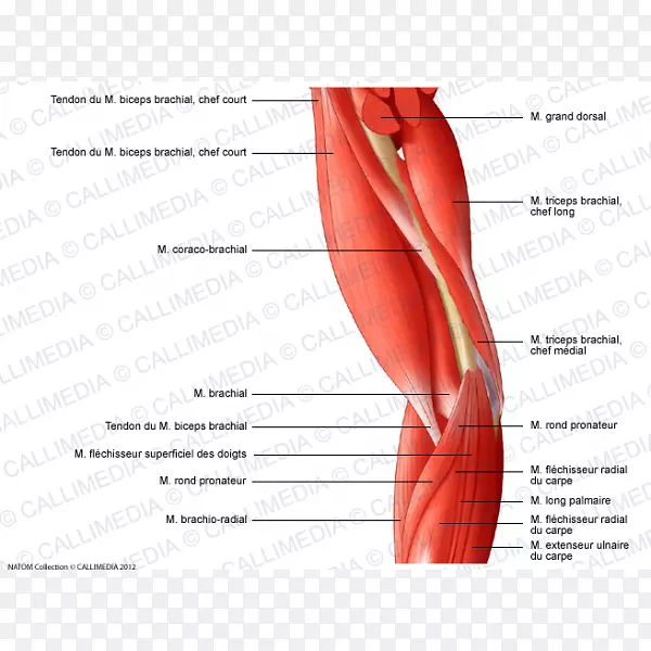 Ĵָ�⼡�ۼ���ϵͳ-�ֱ�-������