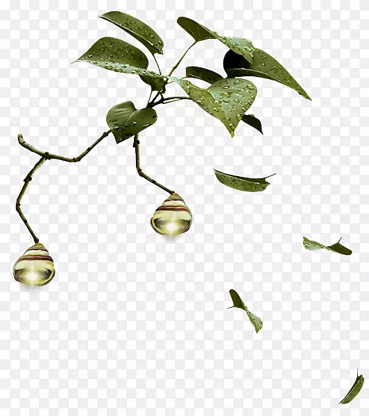 ��֦��ľҶ��������-������