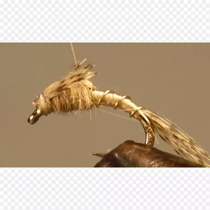 ����ľ��/��/083vt-����-������