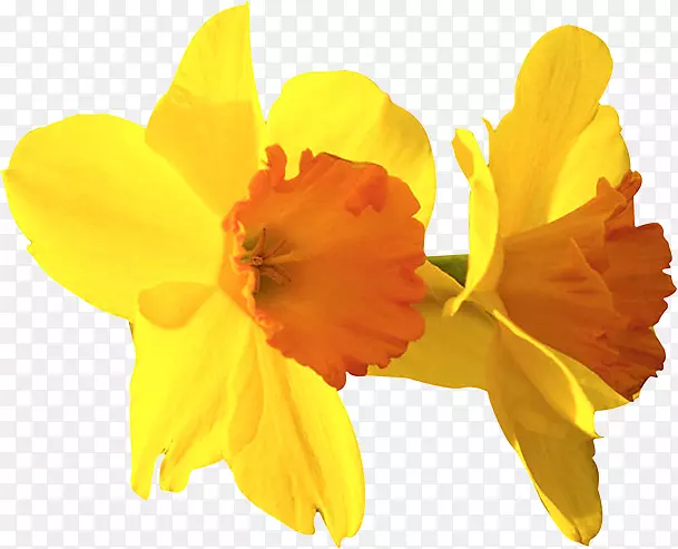 ˮ�ɻ���Ȼ��ѧ��ѧ�Ҽ���������ѧ-������