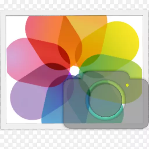 ƽ�����-���-������