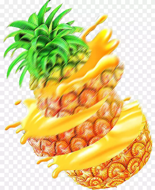 ��֭��Բ������ŵ-����Ԫ��-������