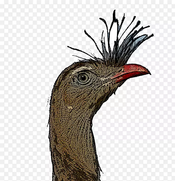 ๹��ද����ë-������