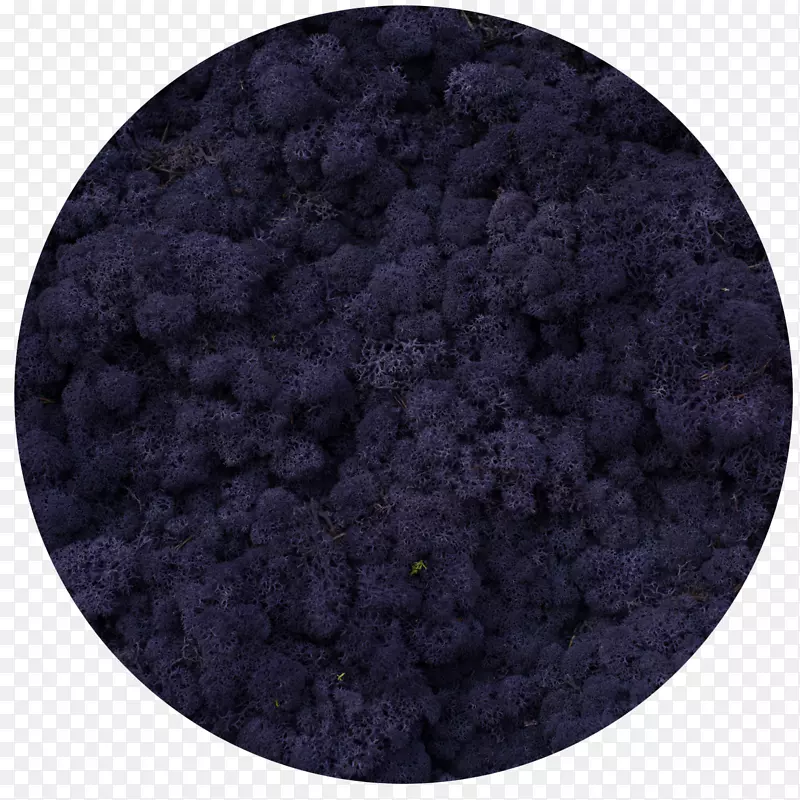 ľ����������(��)�¶��ĺ��ء������أ���˹����(����)����ķ����˹̹��������-��-������