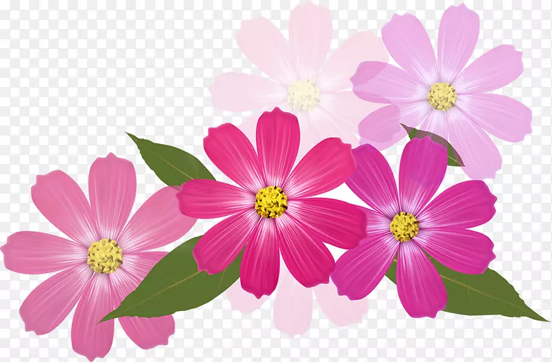 ����-������