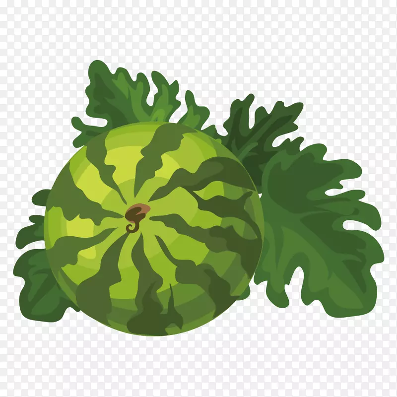 �Ϲ�-������